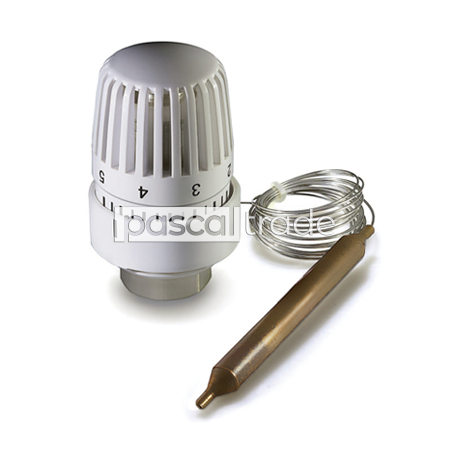 ZEISSLER-TIM — Головка термостатическая с погружным датчиком TH-K-0201