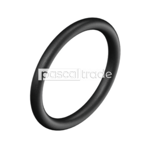 Уплотнительное резиновое кольцо (O-Ring)